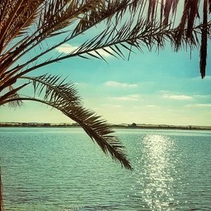 Meet your Posher, Ray